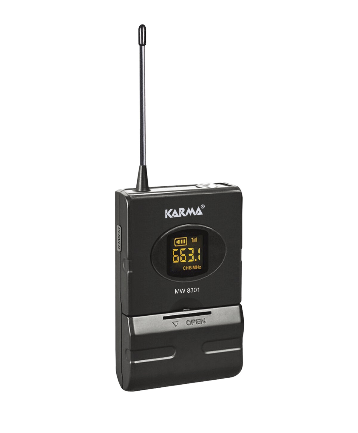 Wireless Microphone Options